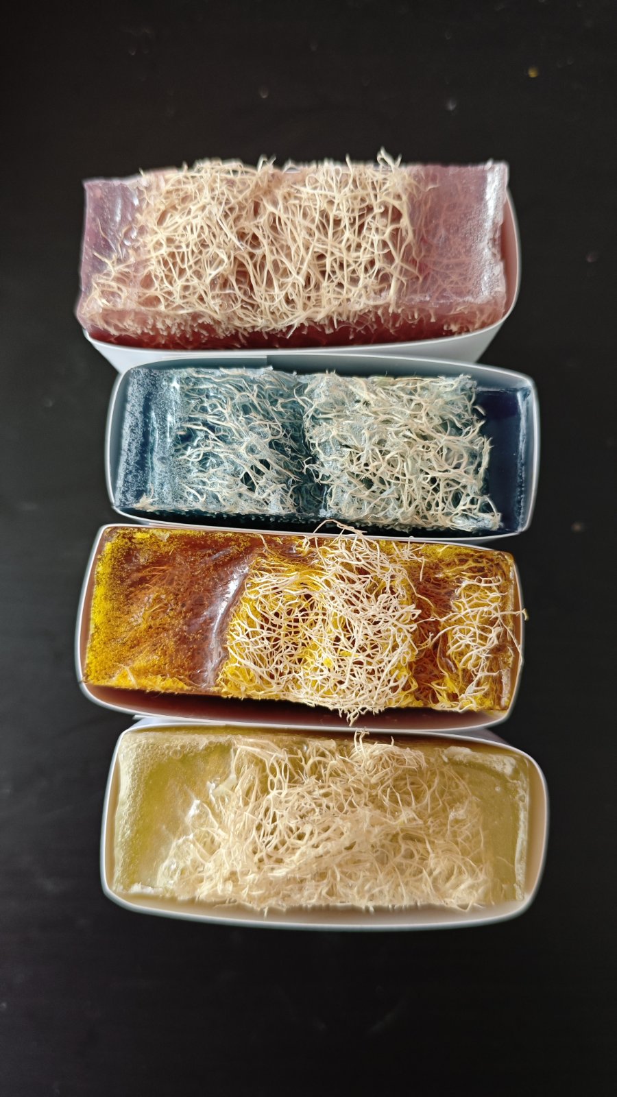 The Loofah Discovery Box: Full Collection