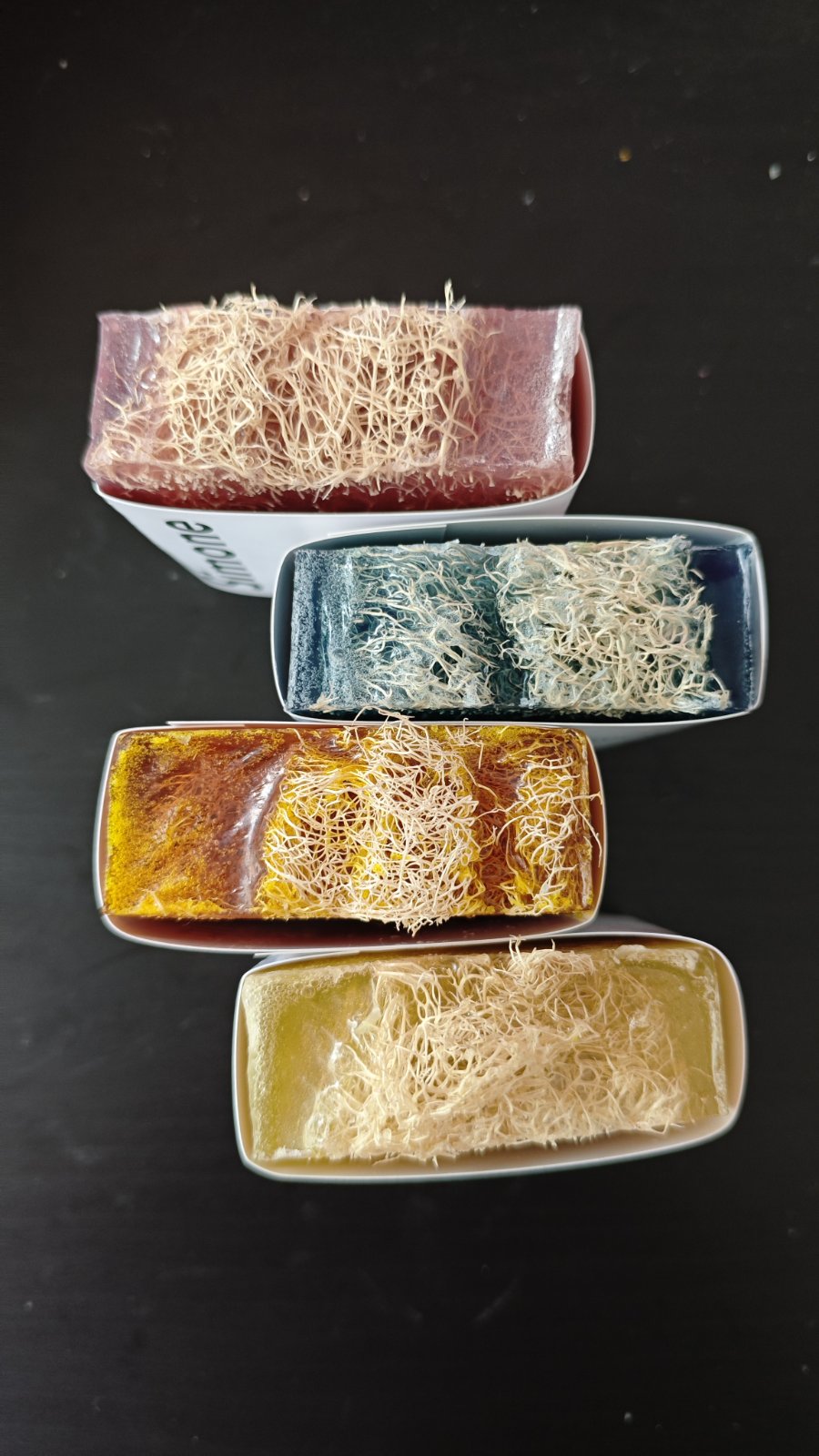 The Loofah Discovery Box: Full Collection
